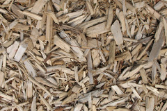 biomass boilers Ashculme